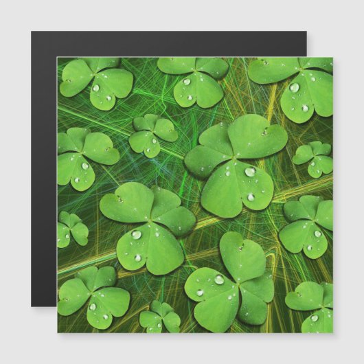 Green Shamrock St Patrick's iPhone 5 Hoesje-Mate Magnetische Uitnodiging (Voorkant / Achterkant)