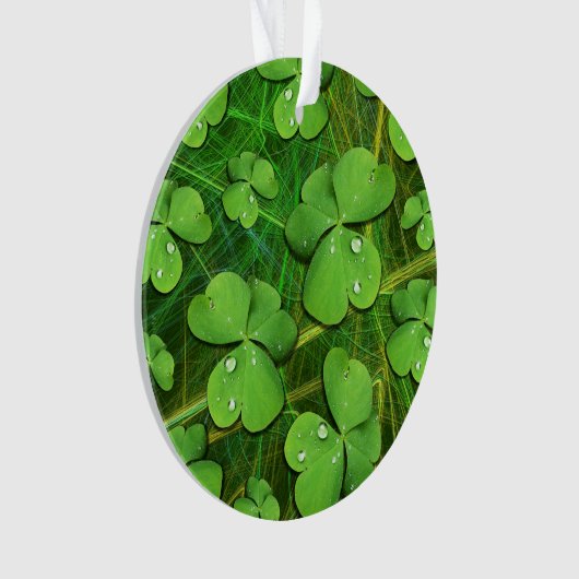 Green Shamrock St Patrick's iPhone 5 Hoesje-Mate Ornament (voorkant)