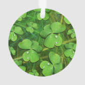 Green Shamrock St Patrick's iPhone 5 Hoesje-Mate Ornament (achterkant)