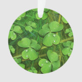 Green Shamrock St Patrick's iPhone 5 Hoesje-Mate Ornament (voorkant)