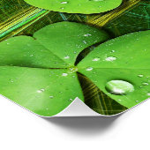 Green Shamrock St Patrick's iPhone 5 Hoesje-Mate Perfect Poster (Hoek)