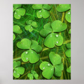 Green Shamrock St Patrick's iPhone 5 Hoesje-Mate Poster (Voorkant)