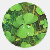 Green Shamrock St Patrick's iPhone 5 Hoesje-Mate Ronde Sticker (Voorkant)