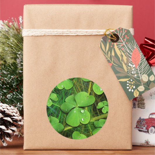 Green Shamrock St Patrick's iPhone 5 Hoesje-Mate Ronde Sticker (Feestdagen)