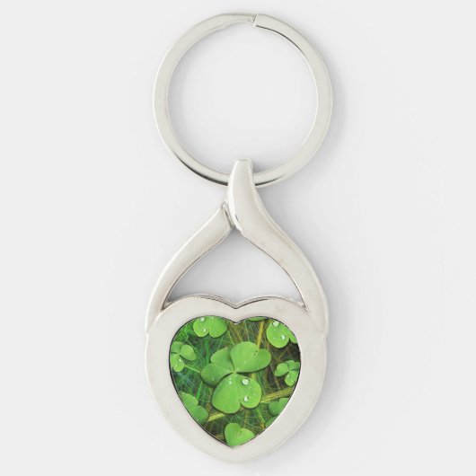 Green Shamrock St Patrick's iPhone 5 Hoesje-Mate Sleutelhanger (Voorkant)