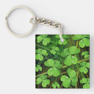 Green Shamrock St Patrick's iPhone 5 Hoesje-Mate Sleutelhanger