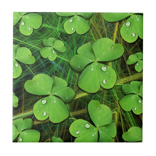 Green Shamrock St Patrick's iPhone 5 Hoesje-Mate Tegeltje (Voorkant)