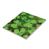 Green Shamrock St Patrick's iPhone 5 Hoesje-Mate Tegeltje (Zijkant)