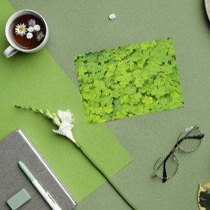 Green Shamrocks Floral St Patrick's Day Kaart