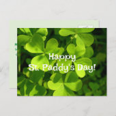 Green Shamrocks, St. Paddy's Day Briefkaart (Voorkant / Achterkant)