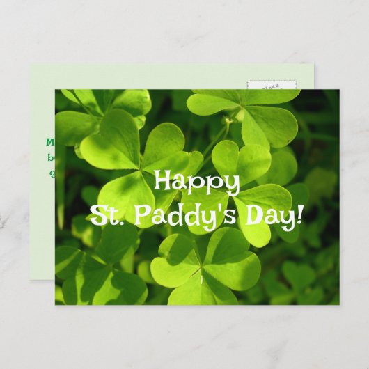 Green Shamrocks, St. Paddy's Day Briefkaart (Voorkant / Achterkant)