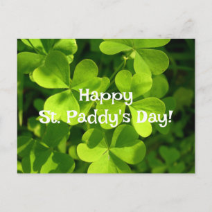 Green Shamrocks, St. Paddy's Day Briefkaart