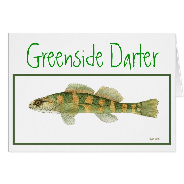 Green Sided Darter-kaart (Voorkant Horizontaal)