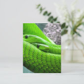 Green Snake Briefkaart (Staand voorkant)