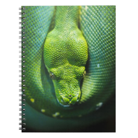 GREEN SNAKE NOTITIEBOEK (Voorkant)