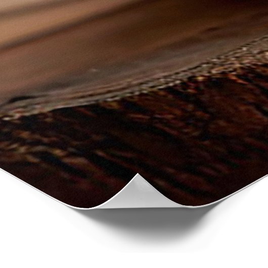 Green Snake Poster (Hoek)