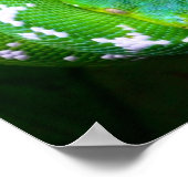 Green Snake Poster (Hoek)