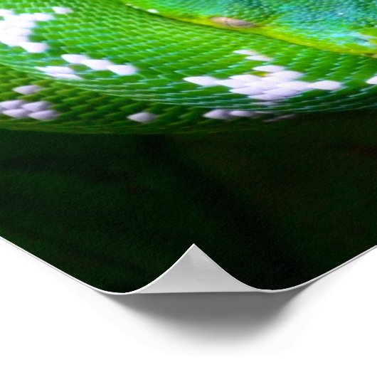 Green Snake Poster (Hoek)