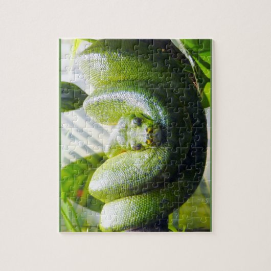 Green Snake Puzzle Legpuzzel (Verticaal)