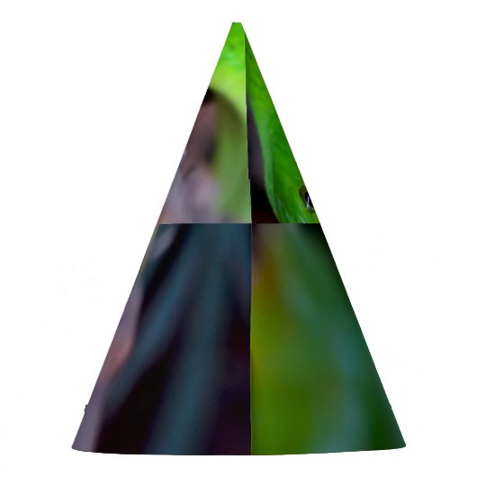 Green Snake Python Feesthoedjes (Achterkant)