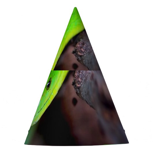 Green Snake Python Feesthoedjes (Voorkant)