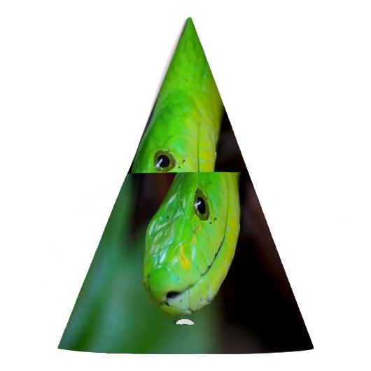 Green Snake Python Feesthoedjes (Links)