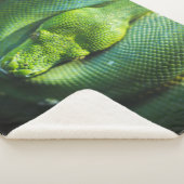 GREEN SNAKE SHERPA DEKEN (3/4)