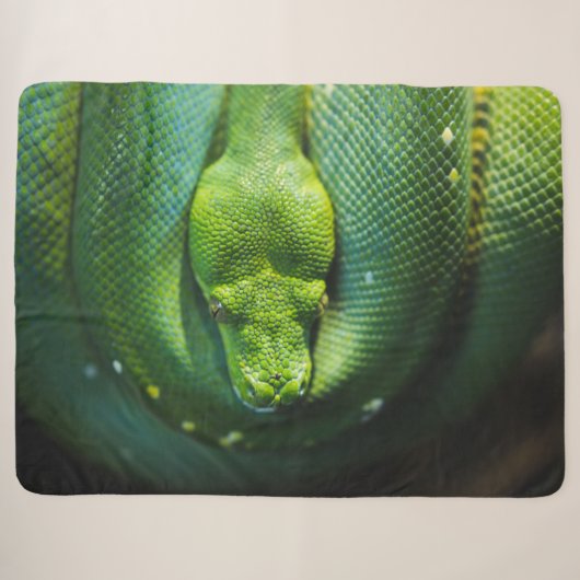 GREEN SNAKE SHERPA DEKEN (Voorkant (horizontaal))