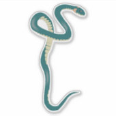 Green Snake Sticker (Voorkant)