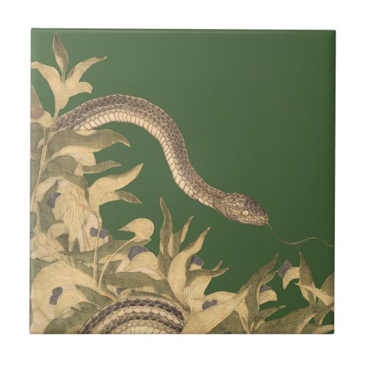 Green Snake  Tegeltje (Voorkant)