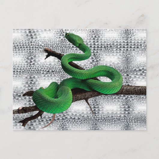 GREEN SNAKES BRIEFKAART (Voorkant)