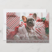 Green Snowy-fotokerstkaarten Feestdagenkaart (Voorkant)