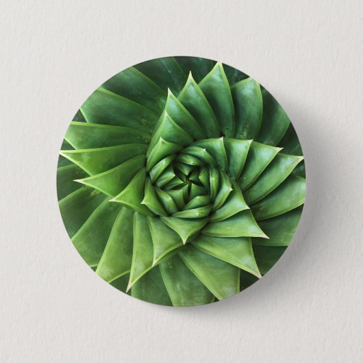 Green Spiral Aloe Polyphylla Button (Voorkant)
