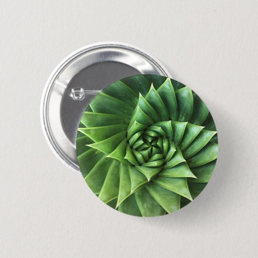 Green Spiral Aloe Polyphylla Button (Voorkant /achterkant)