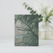 Green spruce tree close-up, Christmas aesthetic Feestdagenkaart (Staand voorkant)