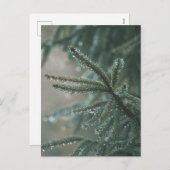 Green spruce tree close-up, Christmas aesthetic Feestdagenkaart (Voorkant / Achterkant)