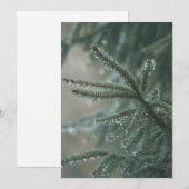 Green spruce tree close-up, Christmas esthetic Feestdagenkaart (Voorkant / Achterkant)