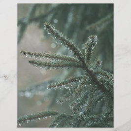 Green spruce tree, winter Scrapbook Paper