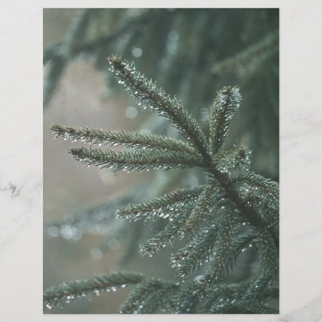 Green spruce tree, winter Scrapbook Paper (Voorkant)