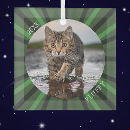 Green Starburst Custom Cat Holiday Christmas  Glas Ornament