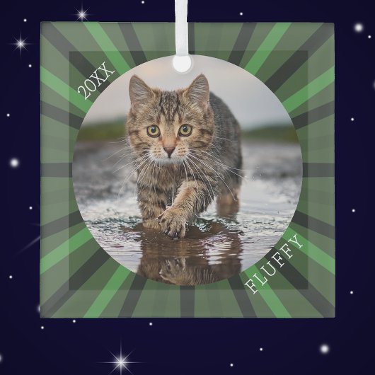 Green Starburst Custom Cat Holiday Christmas  Glas Ornament