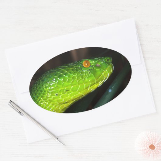 Green Stejneger's groefadder slang Ovale Sticker (Envelop)