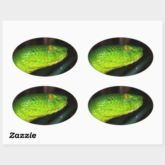 Green Stejneger's groefadder slang Ovale Sticker (Vel)