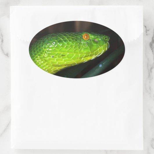 Green Stejneger's groefadder slang Ovale Sticker (Tas)