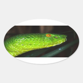 Green Stejneger's groefadder slang Ovale Sticker