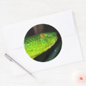 Green Stejneger's groefadder slang Ronde Sticker (Envelop)