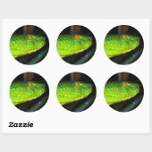Green Stejneger's groefadder slang Ronde Sticker (Vel)