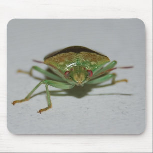 Green Stink Bug mousepad Muismat