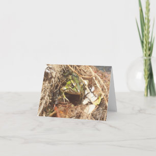 Green Striped Frog Photo Folded Note Kaart