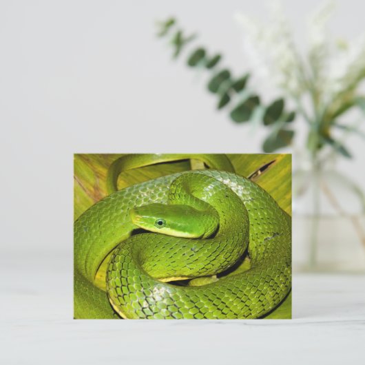 Green Struik Rat Snake Briefkaart (Staand voorkant)